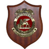 Brigata Marina San Marco